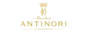 Picture for Brand ANTINORI