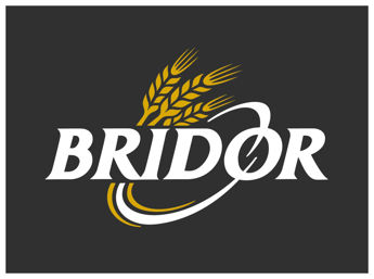 Picture for manufacturer BRIDOR