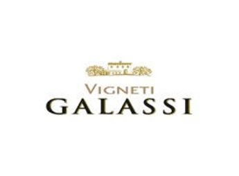 Picture for Brand VIGNETI GALASSI